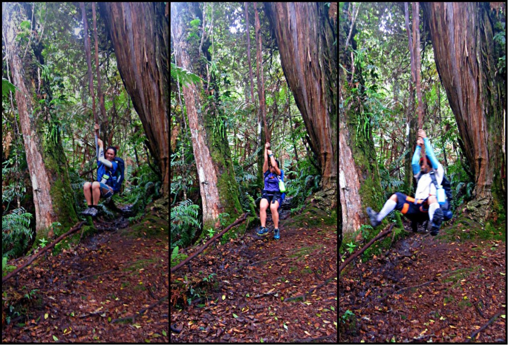 Princess, Mai2 and Melvin. Hanging tree root in mount APO