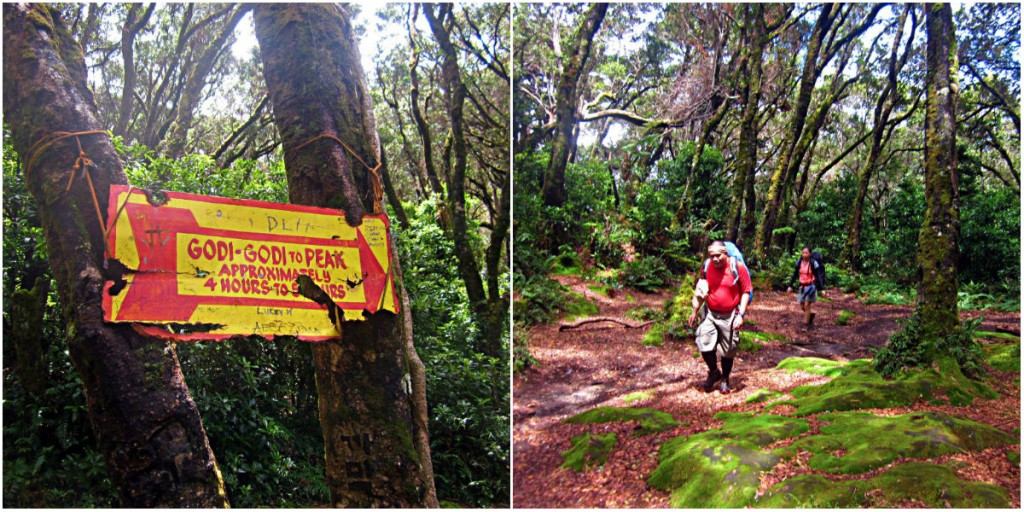Godi Godi Campsite during our Mt APO Climb
